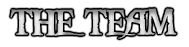 Theteam