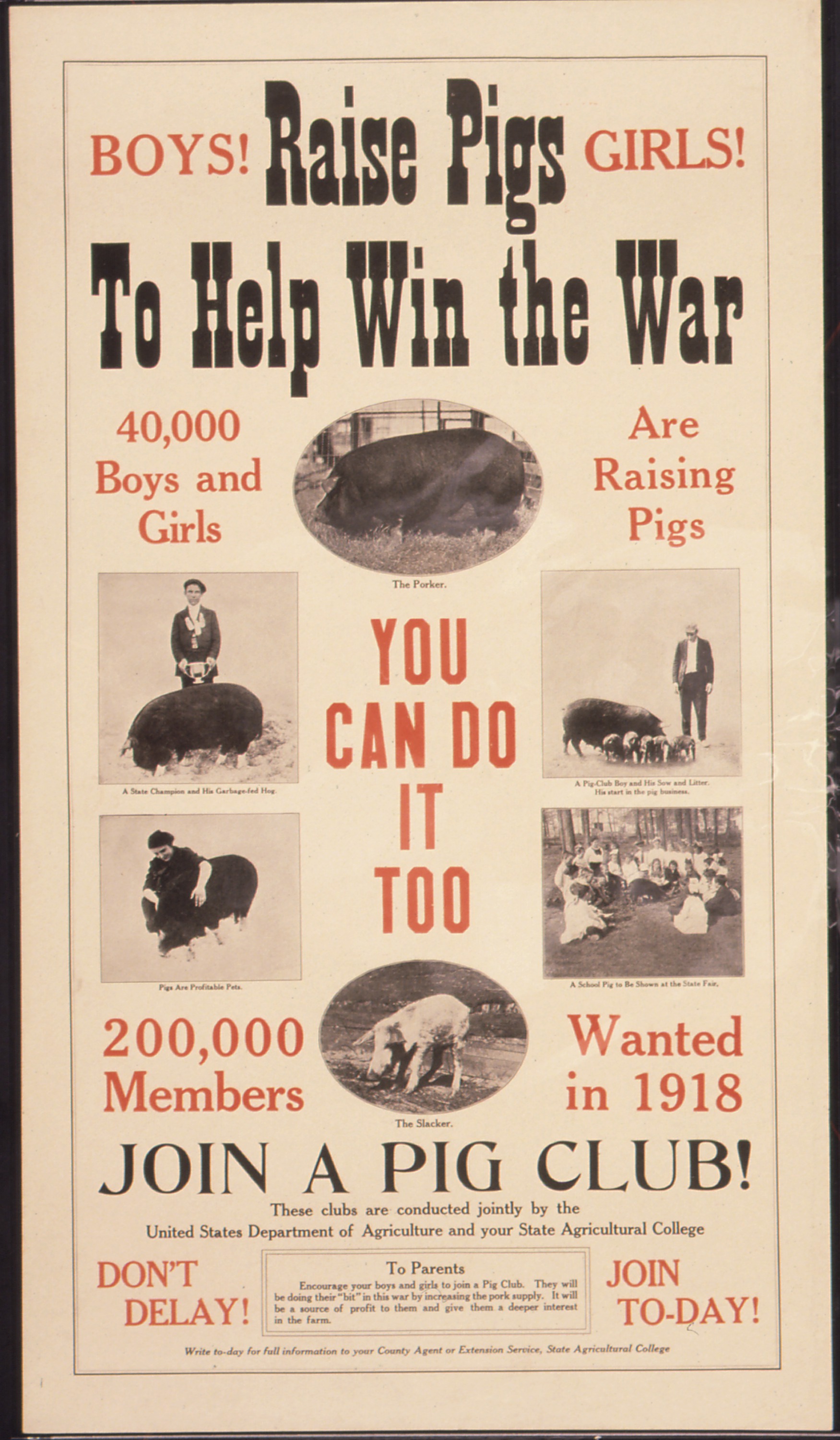 _Boys^_Raise_Pigs_To_Help_Win_The_War._Girls^_40,000_Boys_and_Girls_are_Raising_Pigs._You_Can_Do_It_Too._200,000..._-_NARA_-_512546.jpg